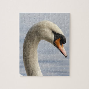 Puzzle Vancouver, Stanley Park, Mute Swan (Cygnus olor) 2