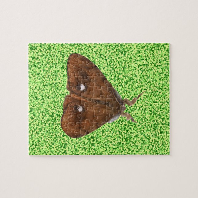 Puzzle Vapourer Moth (Horizontal)