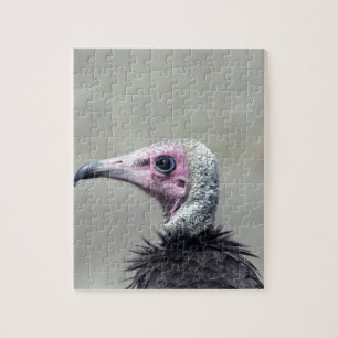 Puzzle Vautour