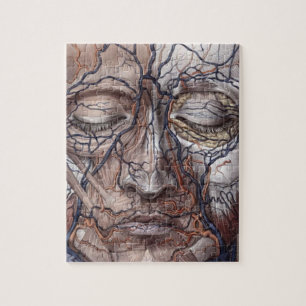 Puzzle Veines et muscles principaux