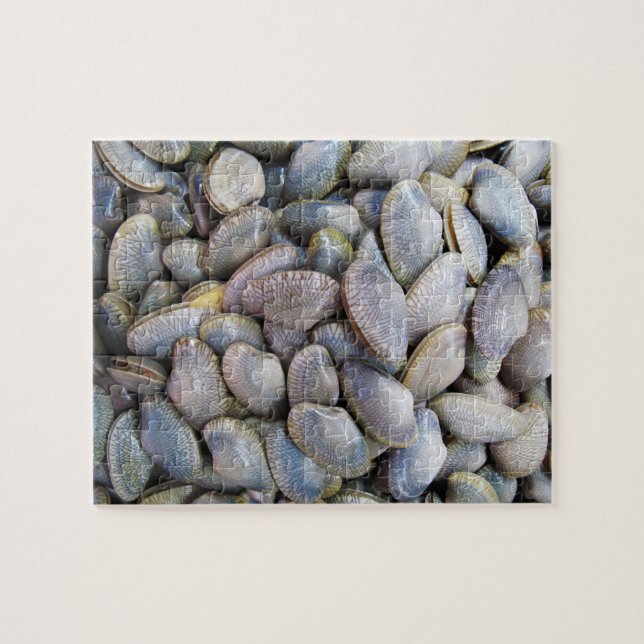 Puzzle Venus Clam [ห อ ย ล า ย] (Horizontal)
