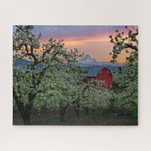 Puzzle Verger poire florissant avec grange près du mont H