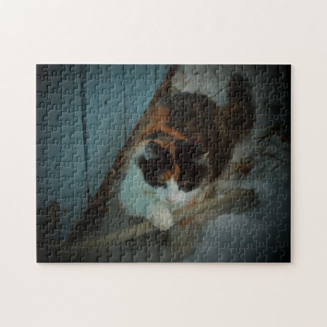 Puzzle Vérificateur de tuyau Calico (Horizontal)