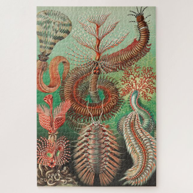 Puzzle Vers, Annelids Chaetopoda par Ernst Haeckel (Vertical)