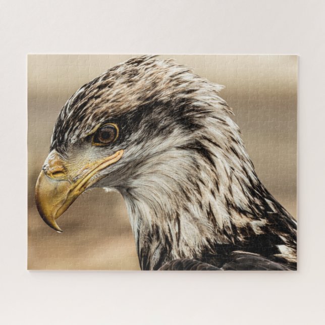Puzzle Vers le haut photo Eagle (Horizontal)