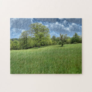 Puzzle vert des Appalaches