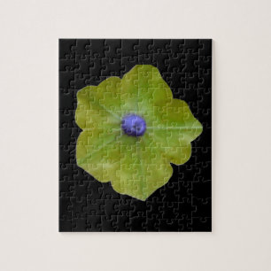 Puzzle vert et bleu Petunia