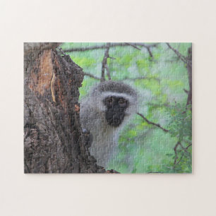 Puzzle Vervet