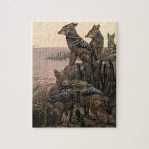 Puzzle Vestes noirs à dos par Winifred Austen