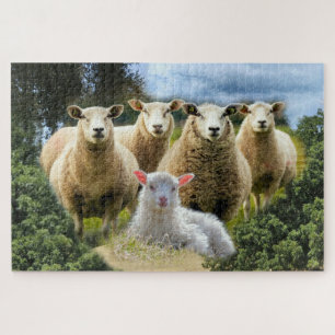 Puzzle Vestige de mouton Herbe de mouton Agneau de bébé