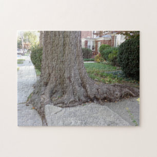 Puzzle Vieux arbre et racines Damaging Sidewalk JigSaw Pu