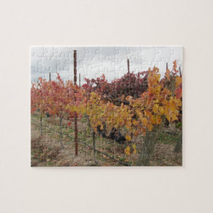 Puzzle : Vignoble de la Californie avant récolte