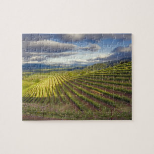 Puzzle Vignoble. Napa Valley. Napa. Comté de Napa,