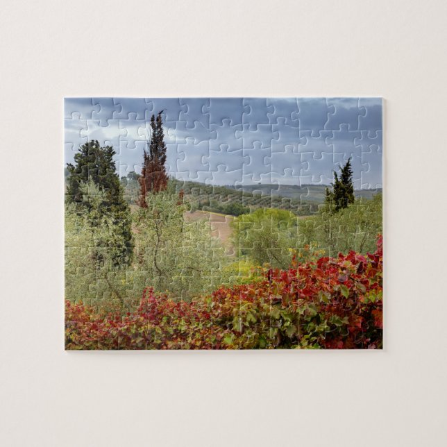 Puzzle Vignoble près de Montalcino, Toscane, Italie (Horizontal)