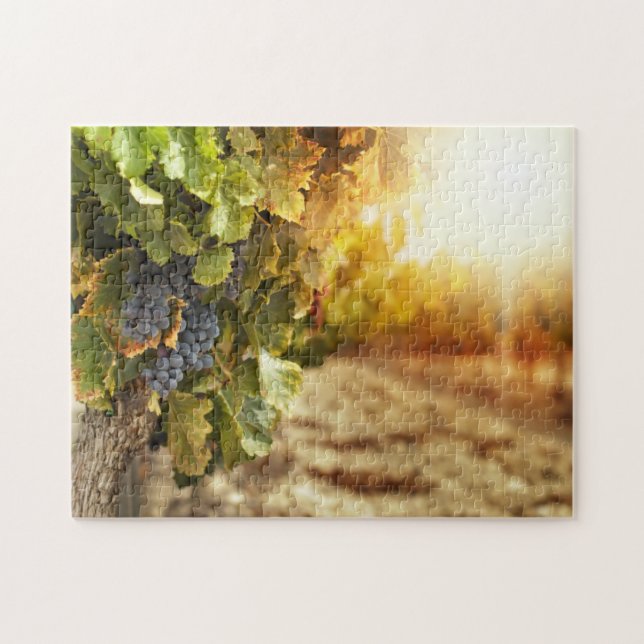Puzzle Vignobles Au Coucher Du Soleil (Horizontal)