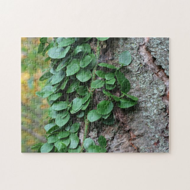 Puzzle Vin Vert Feuillu Cultivant Sur L'Arbre Nature (Horizontal)