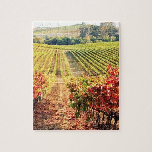 PUZZLE VINEYARDS.JPG (Vertical)