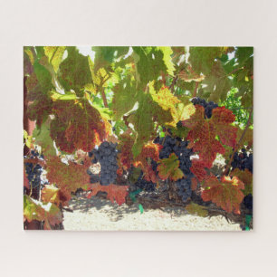 Puzzle - Vins de raisin