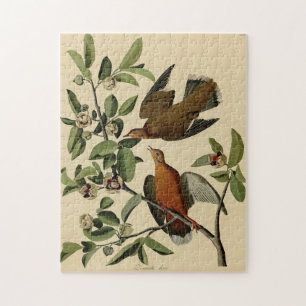 Puzzle Vintage Audubon en deuil d'un cadeau pour la peint