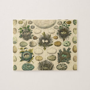 Puzzle Vintage Bird Egg Nest Art Painting Eggs