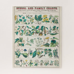 Puzzle Vintage Botanical Chart: Economical Uses of Plants