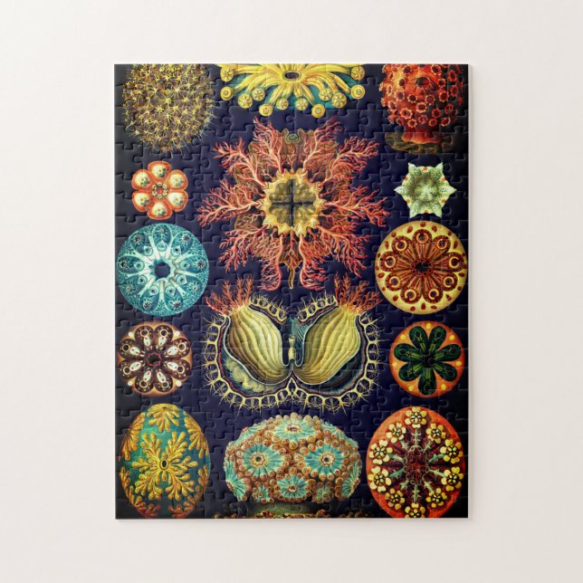 Puzzle vintage d'Ascidiae par Ernst Haeckel (Vertical)