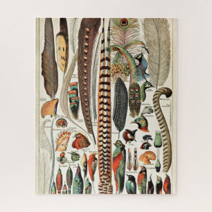Puzzle Vintage Feathers Oiseaux Ancienne Illustration Art