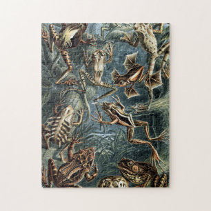 Puzzle Vintage naturaliste Ernst Haeckel Frogs and Tots P