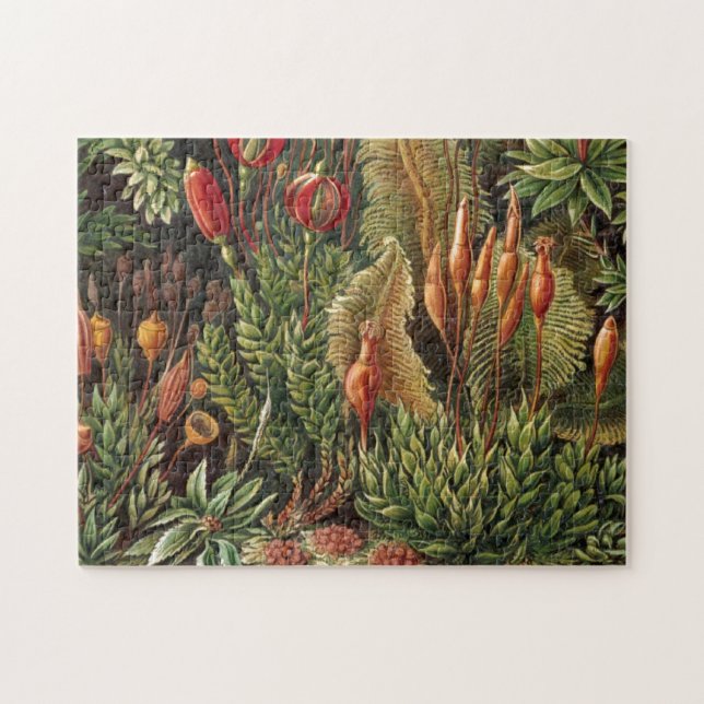 Puzzle Vintage Plante Haeckel (Horizontal)