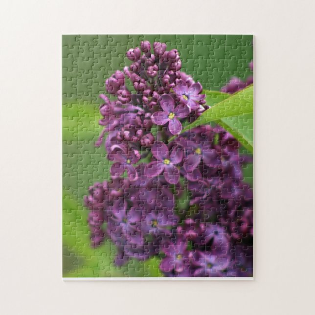 Puzzle violet Lilac (Vertical)