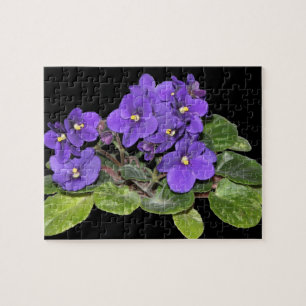 Puzzle Violette africaine