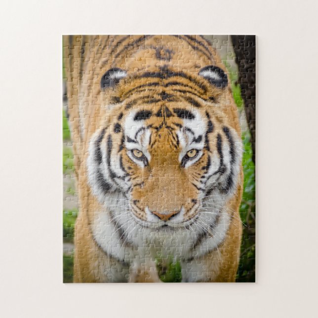 Puzzle Visage de tigre (Vertical)