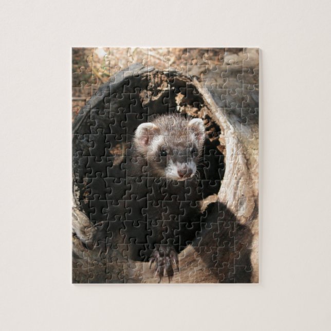 Puzzle Visage Ferret (Vertical)