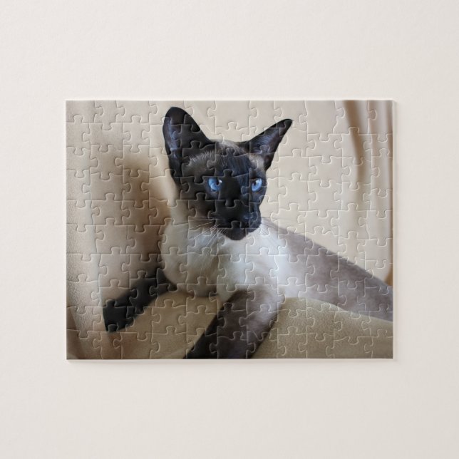 Puzzle Visage magnifique de chat siamois (Horizontal)