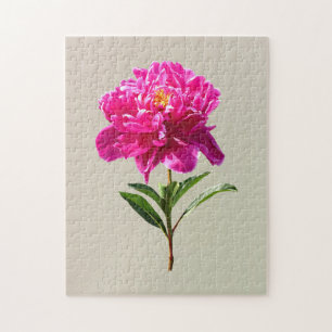 Puzzle Vivid Peony rose