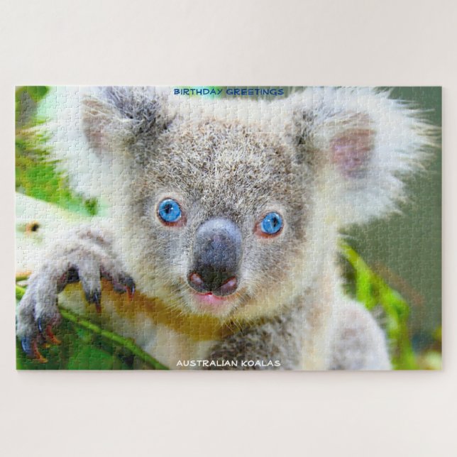 Puzzle Voeux d'anniversaire Koalas australienne (Horizontal)