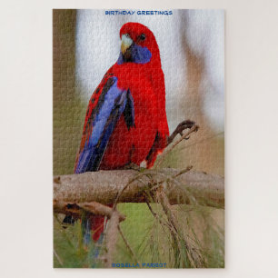 Puzzle Voeux d'anniversaire Rosella Parrot