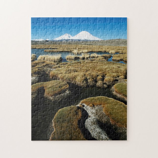 Puzzle Volcans Payachalas (Vertical)