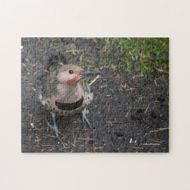 Puzzle Vue de l'oeil d'oiseaux du pic-blanc de Flicker du (Horizontal)