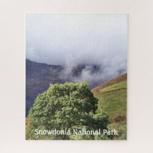 PUZZLE VUES DES ALLES