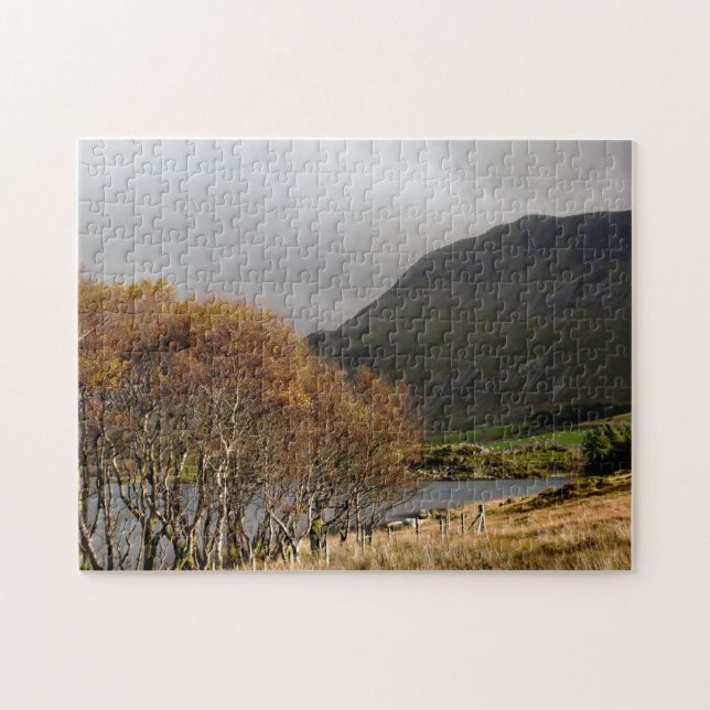 PUZZLE VUES DES ALLES (Horizontal)