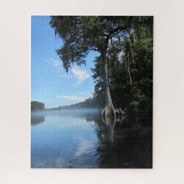 Puzzle Wacissa River Cypress Floride (Vertical)