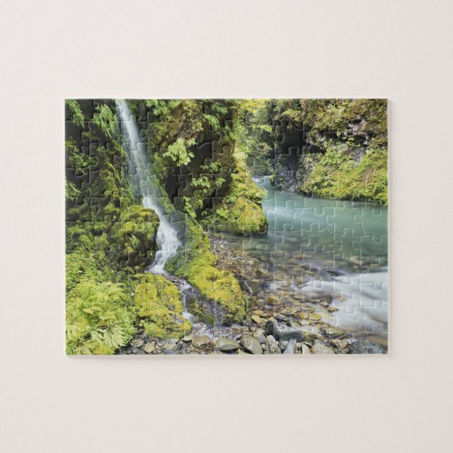 Puzzle Washington, Olympic National Park, saison (Horizontal)