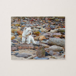 Puzzle West Highland White Terrier