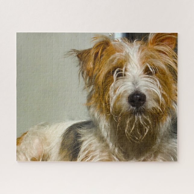 Puzzle Westie Chiens Jigsaws. (Horizontal)