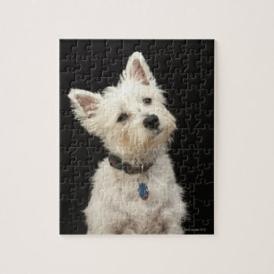 Puzzle Westie (terrier des montagnes occidental) avec le