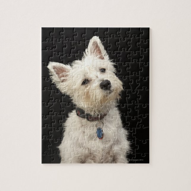 Puzzle Westie (West Highland terrier) avec col (Vertical)