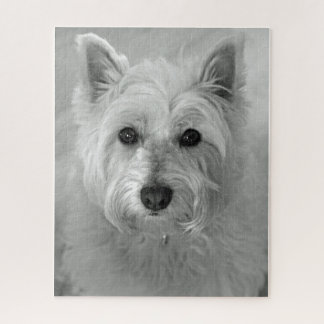 Puzzle Westie (West Highland White Terrier) Chien