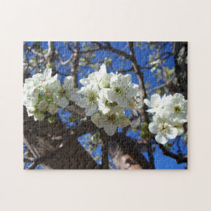 Puzzle White Blossom Clusters Spring Flowering Pear Tree