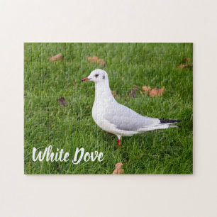 Puzzle White Dove for bird and Pigeon lover cadeau